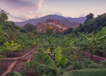 الفائزون بمسابقات #ألوان_السعودية 2017