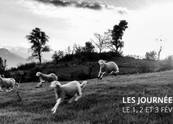 أيام تصوير فوتوغرافي – Les journées de la photo