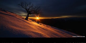 سمو الشيخ منصور بن محمد بن راشد آل مكتوم يكّرم الفائزين بالدورة السابعة للجائزة “اللحظة”