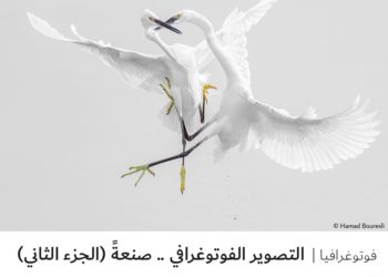 فوتوغرافيا – التصوير الفوتوغرافي .. صنعةً (الجزء الثاني)