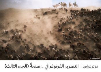 فوتوغرافيا – التصوير الفوتوغرافي .. صنعةً (الجزء الثالث)