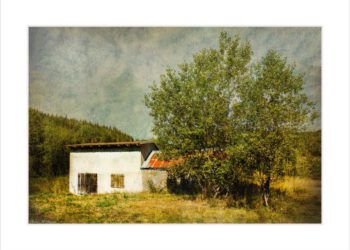 إستمتع بهوايتك دون وصي بقلم المحكم الدولي سعيد الشامسي