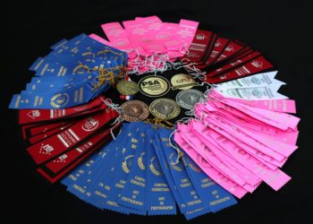 3rd ONYX 2019 International Exhibition of Photography, Romania – http://www.campinaexhibitions.net/onyx