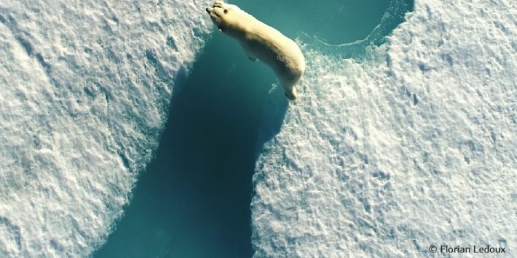 فوتوغرافيا – التصوير الجوي .. كيف نرى العالم من الأعلى ! الجزء الأول