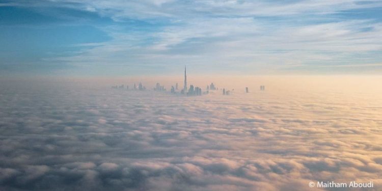 فوتوغرافيا –  الذكاء الصناعيّ .. صديقٌ جديد للكاميرا