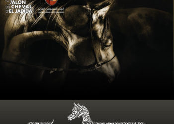 يدعوكم اتحاد المصورين العرب للمشاركة في جائزة سمو الشيخ منصور بن زايد ال نهيان الفوتوغرافية للجواد العربي ٢٠١٩ .