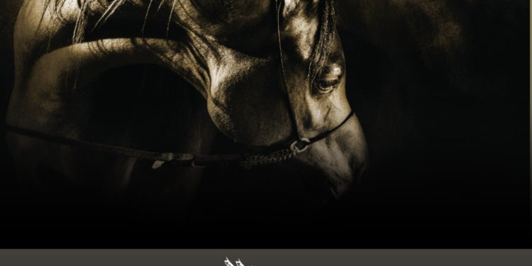 يدعوكم اتحاد المصورين العرب للمشاركة في جائزة سمو الشيخ منصور بن زايد ال نهيان الفوتوغرافية للجواد العربي ٢٠١٩ .