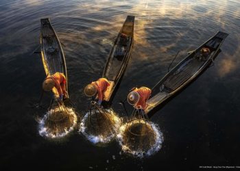 نتائج مسابقة التصوير الفوتوغرافي GPU تحت 25 عامًا.