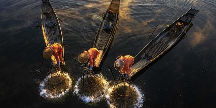 نتائج مسابقة التصوير الفوتوغرافي GPU تحت 25 عامًا.