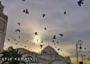 أفضل مسابقات التصوير الفوتوغرافي لعام 2020 التي يمكنك المشاركة فيها