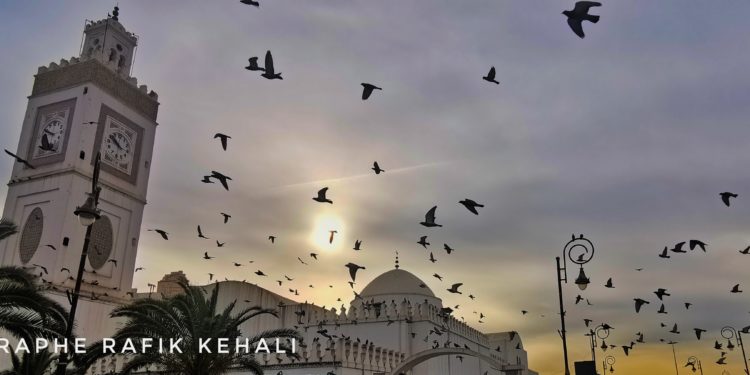 أفضل مسابقات التصوير الفوتوغرافي لعام 2020 التي يمكنك المشاركة فيها