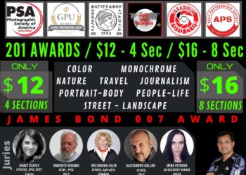 An international competition with 201 awards