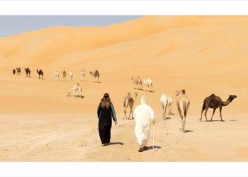 مارس هوايتك دون وصي – الفن المعاصرالثقافة الاستهلاكية