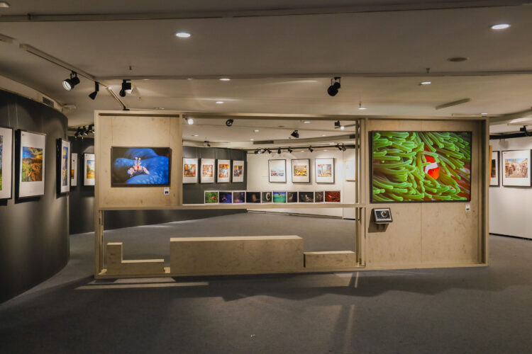 Heads of Photographic Societies Exhibition at the China Millennium Memorial World Art Center in Beijing from October 21 to 29