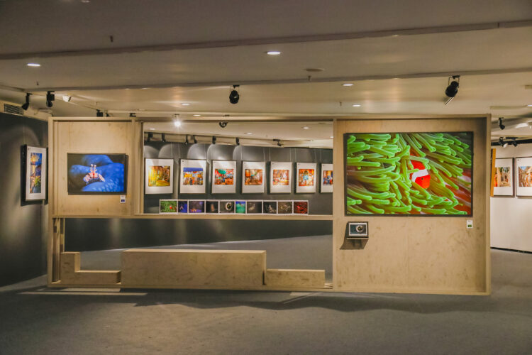 Heads of Photographic Societies Exhibition at the China Millennium Memorial World Art Center in Beijing from October 21 to 29