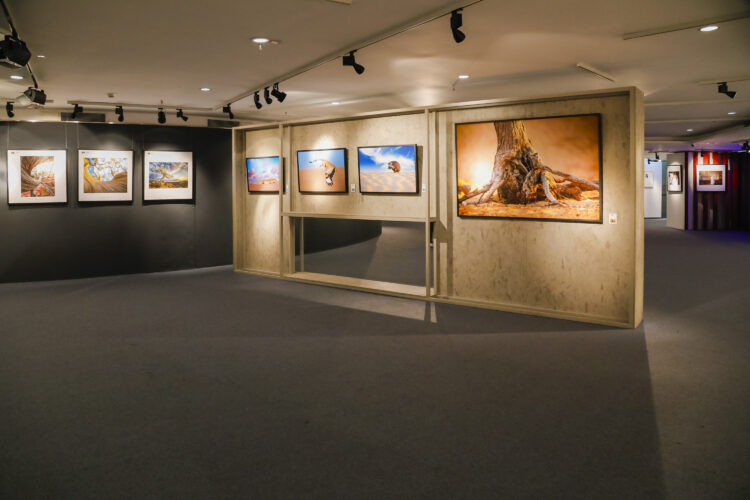 Heads of Photographic Societies Exhibition at the China Millennium Memorial World Art Center in Beijing from October 21 to 29
