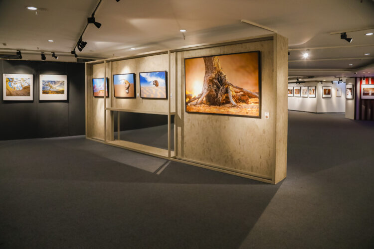 Heads of Photographic Societies Exhibition at the China Millennium Memorial World Art Center in Beijing from October 21 to 29