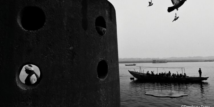 فوتوغرافيا – جائزة مصور العام من هيبا .. مكافأة خاصة لروّاد المشاريع