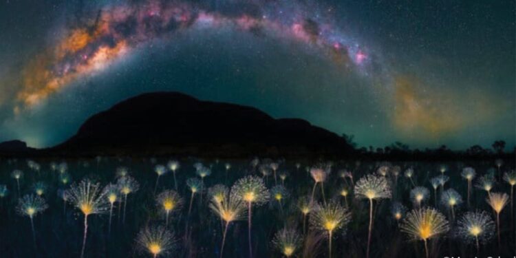 فوتوغرافيا خُلوةٌ بصرية .. مع شفافية السَمَاء