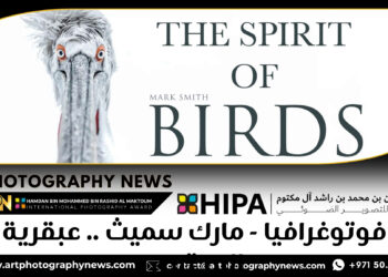 فوتوغرافيا – مارك سميث .. عبقرية المحتوى