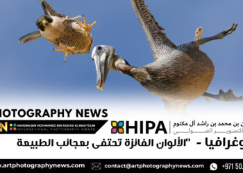 فوتوغرافيا – الألوان الفائزة تحتفى بعجائب الطبيعة