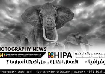 فوتوغرافيا – الأعمال الفائزة .. هل أخبرتنا أسرارها ؟
