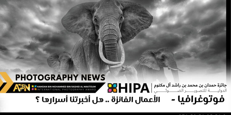 فوتوغرافيا – الأعمال الفائزة .. هل أخبرتنا أسرارها ؟