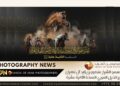 جائزة سمو الشيخ منصور بن زايد آل نهيان لتصوير الخيل العربي النسخة الثانية عشرة