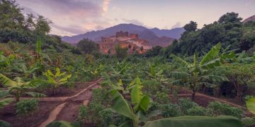 الفائزون بمسابقات #ألوان_السعودية 2017