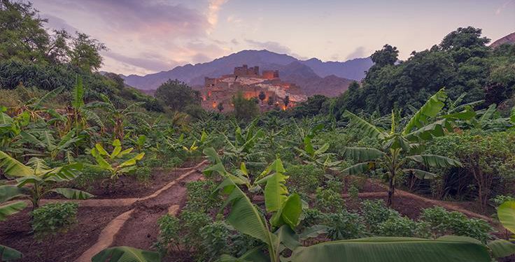 الفائزون بمسابقات #ألوان_السعودية 2017