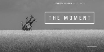 مسابقات عالمية في التصوير الفوتوغرافي يجب أن يعرف عنها كل مصور