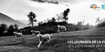 أيام تصوير فوتوغرافي – Les journées de la photo