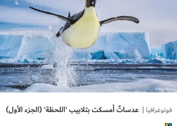 فوتوغرافيا – عدساتٌ أمسكت بتلابيب “اللحظة” (الجزء الأول)