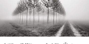 فوتوغرافيا