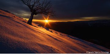 فوتوغرافيا – التايم لابس .. الفائزون تلاعبوا بالزمن ! (الجزء الثاني)