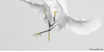 فوتوغرافيا – التصوير الفوتوغرافي .. صنعةً (الجزء الثاني)