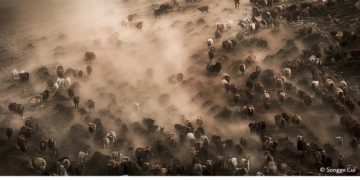 فوتوغرافيا – التصوير الفوتوغرافي .. صنعةً (الجزء الثالث)