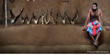 فوتوغرافيا – التصوير الفوتوغرافي .. صنعةً (الجزء السادس)