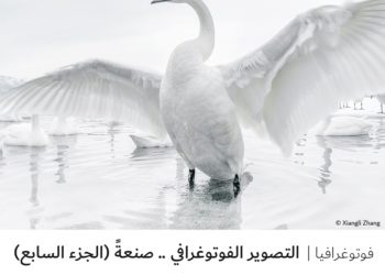 فوتوغرافيا – التصوير الفوتوغرافي .. صنعةً (الجزء السابع)