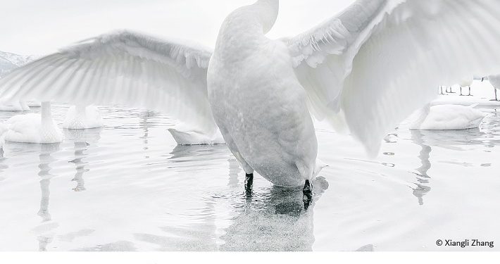 فوتوغرافيا – التصوير الفوتوغرافي .. صنعةً (الجزء السابع)