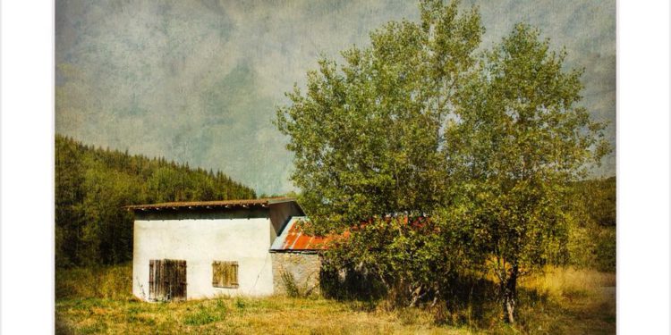 إستمتع بهوايتك دون وصي بقلم المحكم الدولي سعيد الشامسي