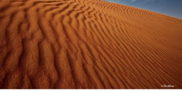 فوتوغرافيا – المصوّرة الإماراتية .. ضوءٌ يتوهّج إبداعاً – الجزء الخامس