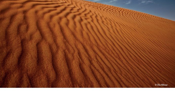 فوتوغرافيا – المصوّرة الإماراتية .. ضوءٌ يتوهّج إبداعاً – الجزء الخامس