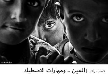 فوتوغرافيا – العين .. ومهارات الاصطياد