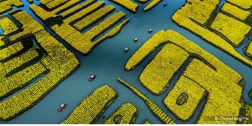 فوتوغرافيا – بين انتظار الإلهام .. واستدعائه (الجزء الأول)