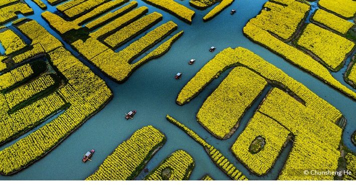 فوتوغرافيا – بين انتظار الإلهام .. واستدعائه (الجزء الأول)