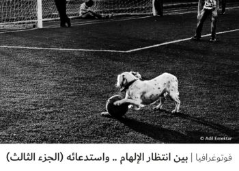 فوتوغرافيا – بين انتظار الإلهام .. واستدعائه (الجزء الثالث)