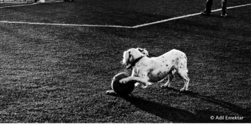 فوتوغرافيا – بين انتظار الإلهام .. واستدعائه (الجزء الثالث)