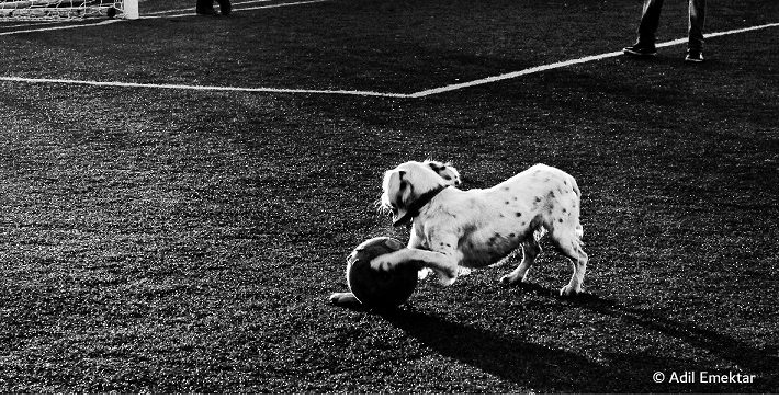 فوتوغرافيا – بين انتظار الإلهام .. واستدعائه (الجزء الثالث)