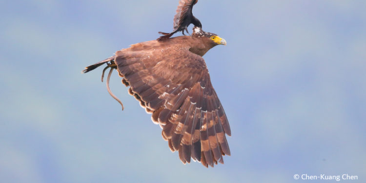 فوتوغرافيا  – تدرُّجات الألوان .. تُضيءُ زوايا الصورة !